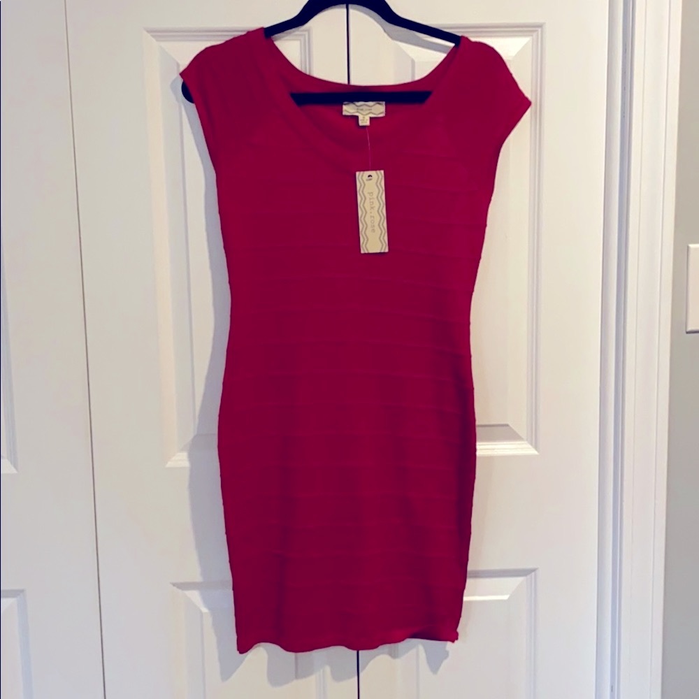 Pink Rose Form Fitting Dress